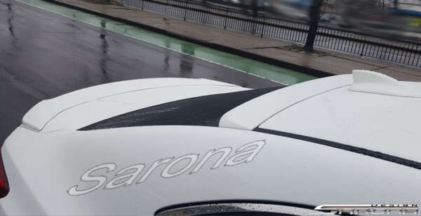 2015-2019 Acura TLX Roof Wing
